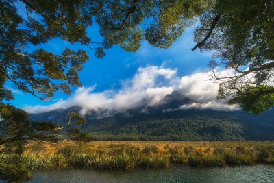 Wetlands &amp;amp;amp;amp;amp;amp;amp;amp;amp;amp;amp;amp;amp; mountains