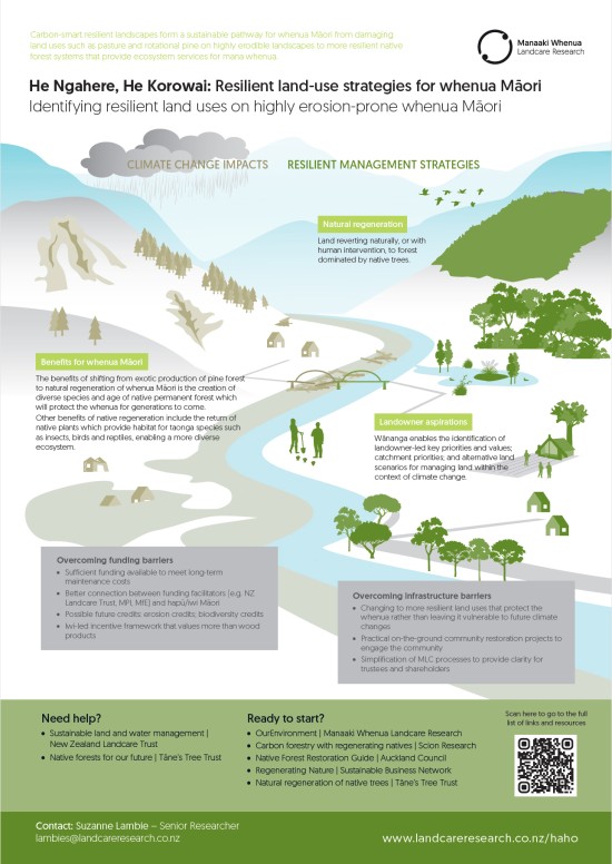 Infographic: He Ngahere, He Korowai: Resilient land-use strategies for whenua Māori