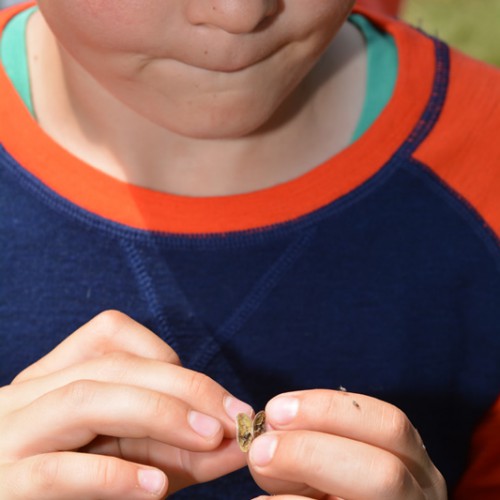 Curious Minds Visit Lincoln Manaaki Whenua