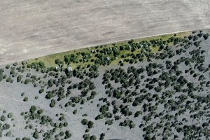 Irrigation overspray from a paddock into a reserve near Medbury, Canterbury. Affected area is shown in green. Photo: Warren Chinn.