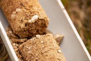 soil core in tray