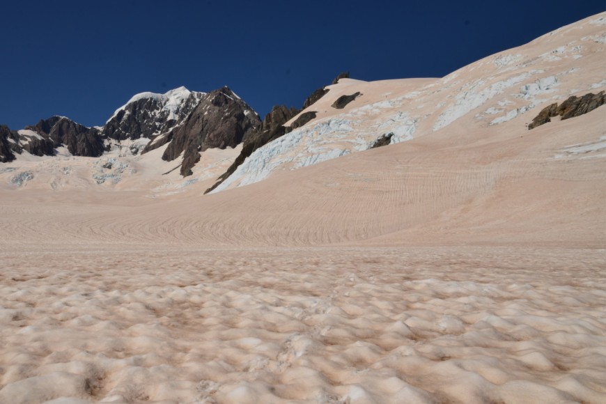 Snow with a deposition of red dust in the Fox Glacier accumulation area