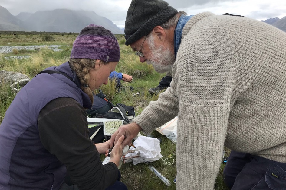 te-mana-o-te-taiao-is-about-making-a-collective-difference-manaaki-whenua