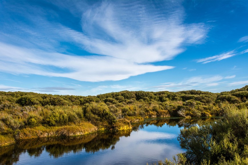 Awarua-Waituna Wetlands is one of the largest remaining wetland complexes in New Zealand and is important for its biological diversity and cultural values. Image: Shellie Evans.