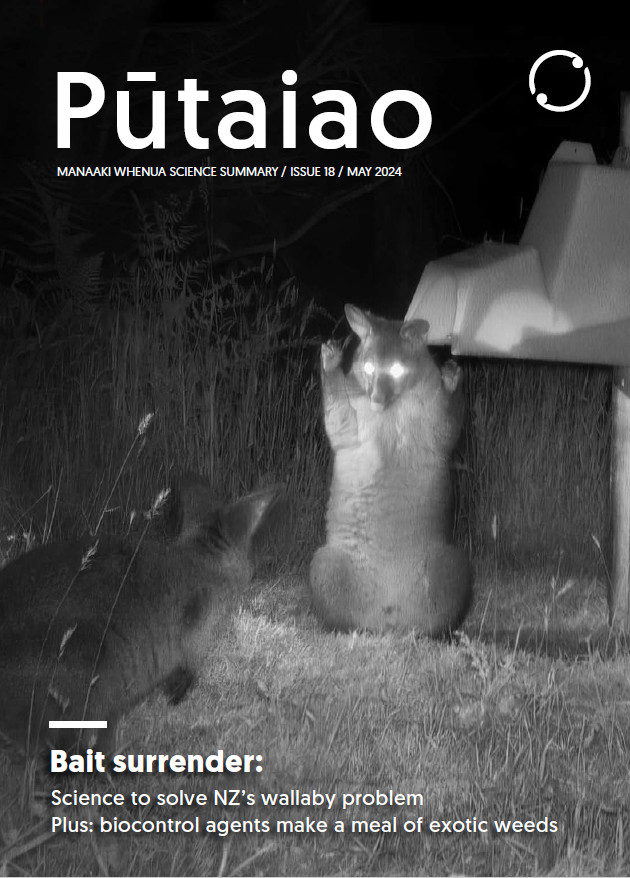 Cover: Pūtaiao 18. Bait surrender: Science to solve NZ’s wallaby problem. Plus: Biocontrol agents make a meal of exotic weeds