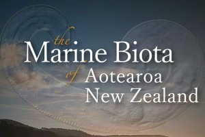 Marine Biota of Aotearoa New Zealand: Ngā Toke o Parumoana: Common free-living Nematoda of Pāuatahanui Inlet, Te Awarua-o-Porirua Harbour, Wellington