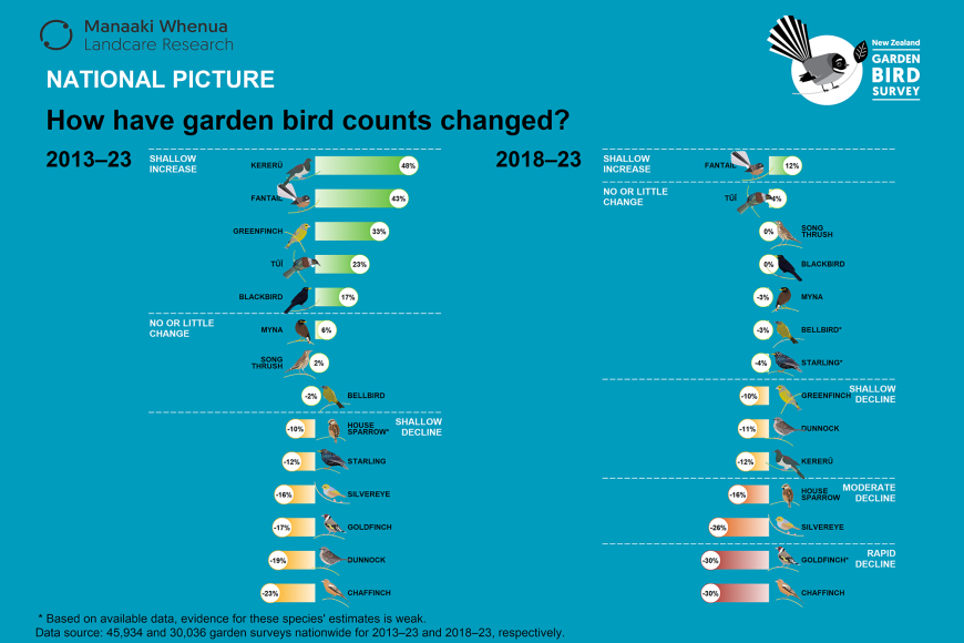 A bar graph showing the national picture of how garden bird counts have changed over the past 10 years.