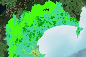 Overview and extent of region-wide vegetation layers for the Hawke’s Bay region depicting forest cover in bright green, low vegetation in pale green, fields in yellow and pine forest in dark green.