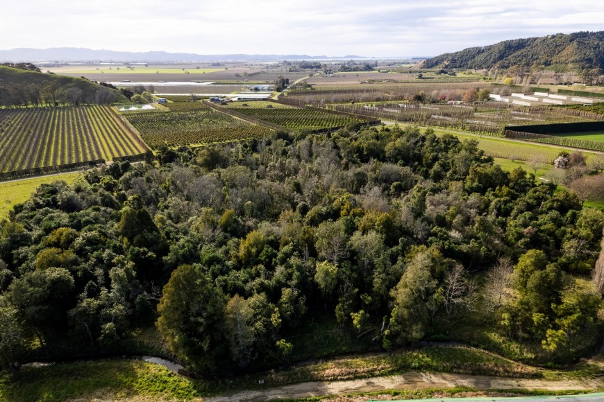 The Rākaukākā Forest in Manatūkē, Gisborne, is managed by the Rongowhakaata Iwi Trust and filled with a beautiful canopy of taonga species. This forest fragment was impacted by Cyclone Bola in 1988 and Cyclone Gabrielle in 2023.