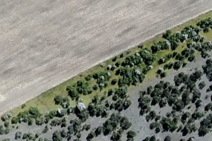 Overspray from paddock to neighbouring reserve, Medbury, Canterbury.