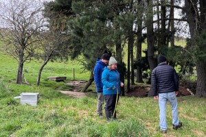 Small tree patches such as this one in Canterbury could have significant carbon market value.