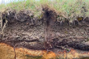 soil profile th