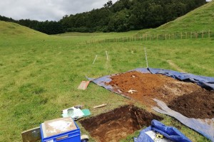 Figure 2. Soil sampling pit preparation near Rotorua. (Photo: Veronica Penny)