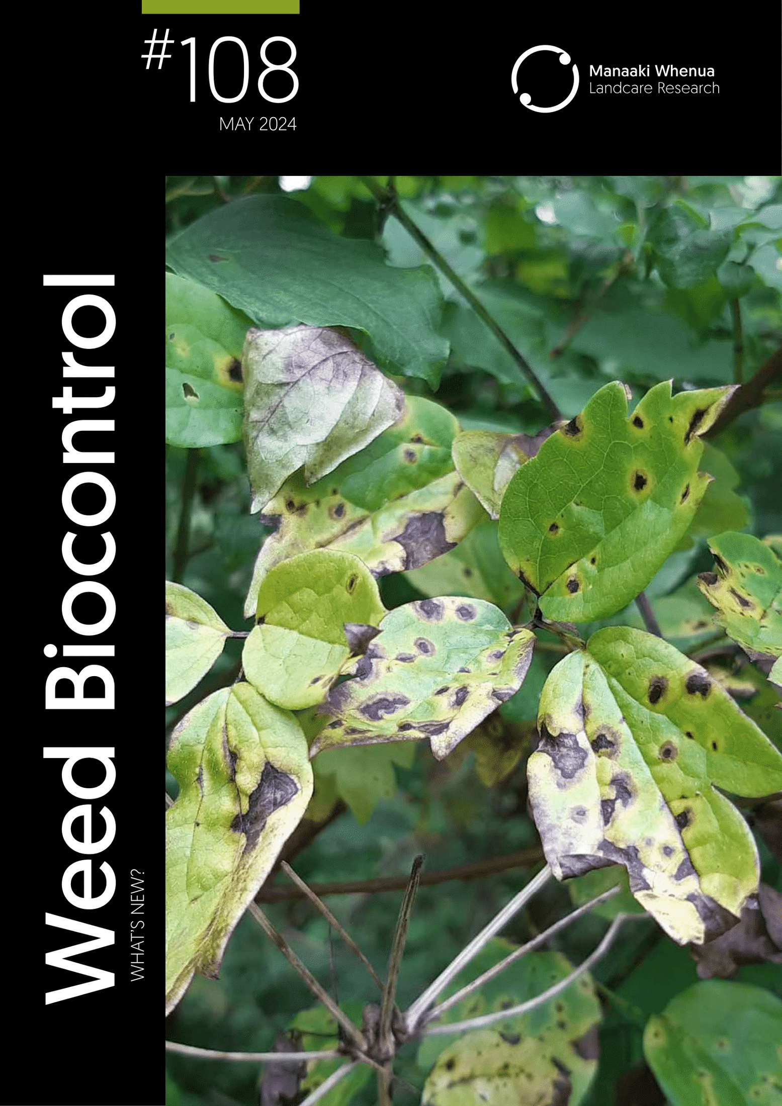 Download Weeds Biocontrol – What's New? Issue 108