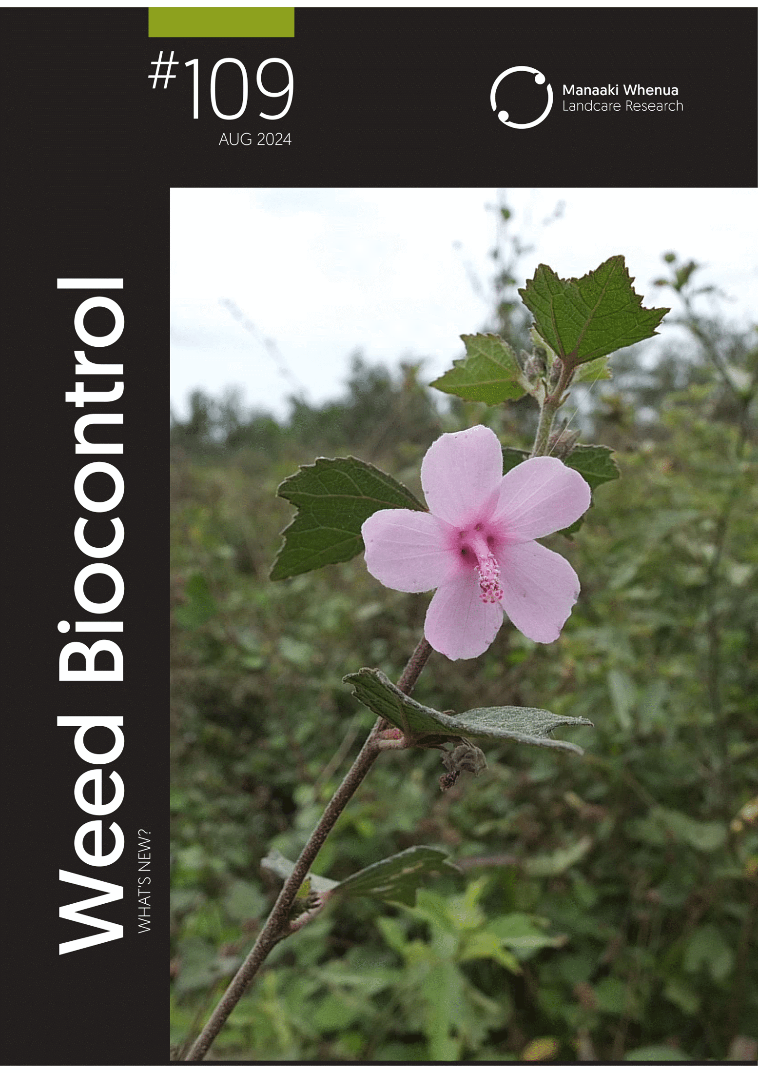 Download Weeds Biocontrol – What's New? Issue 109