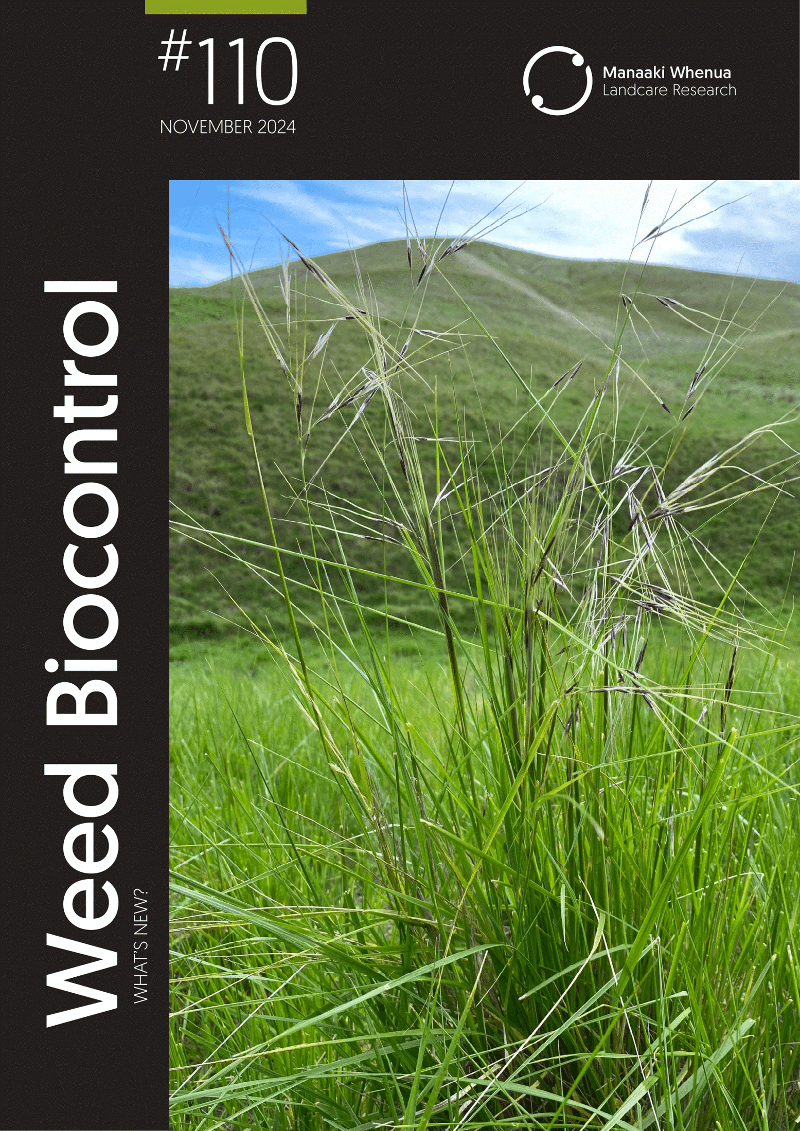 Download Weeds Biocontrol – What's New? Issue 110