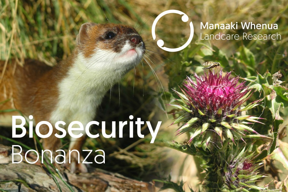 Biosecurity Bonanza 2024 » Manaaki Whenua